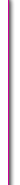 bulle 06